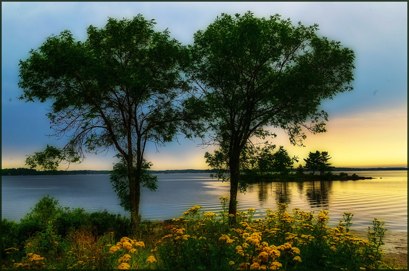 Morning by Jim Atkinson